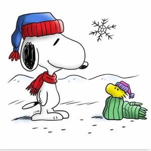 Meet your Posher, Shari